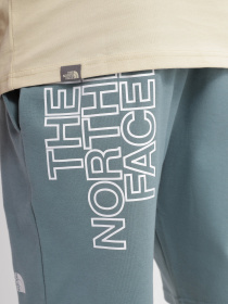 Шорти The North Face GRAPHIC SHORT LIGHT модель NF0A3S4FA9L1 Фото
