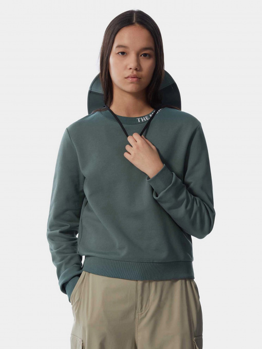 Худи и свитшоты The North Face Zumu модель NF0A491OA9L1 Фото