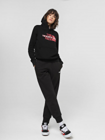 Худі та світшоти The North Face Graphic модель NF0A7QZTJK31 Фото