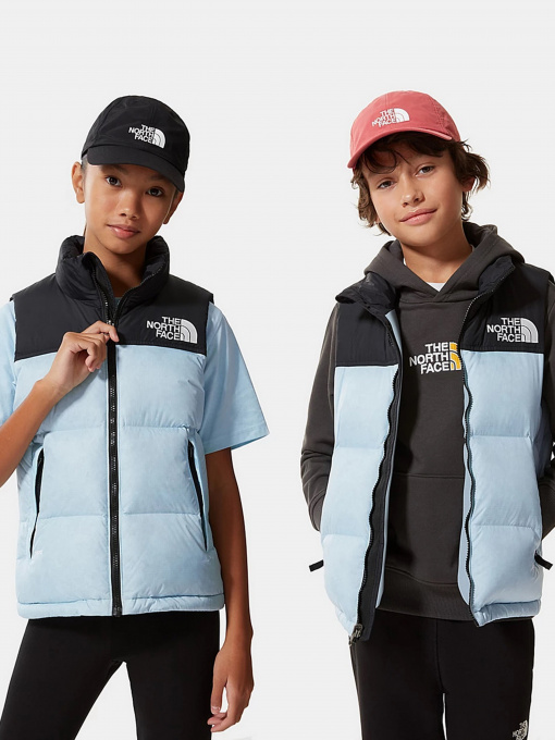 Куртки та дублянки The North Face Retro Nuptse 1996 модель NF0A4TIN3R31 Фото