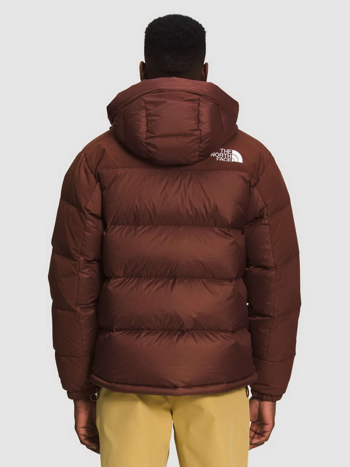 Куртки и дубленки The North Face Himalayan модель NF0A4QYX6S21 Фото