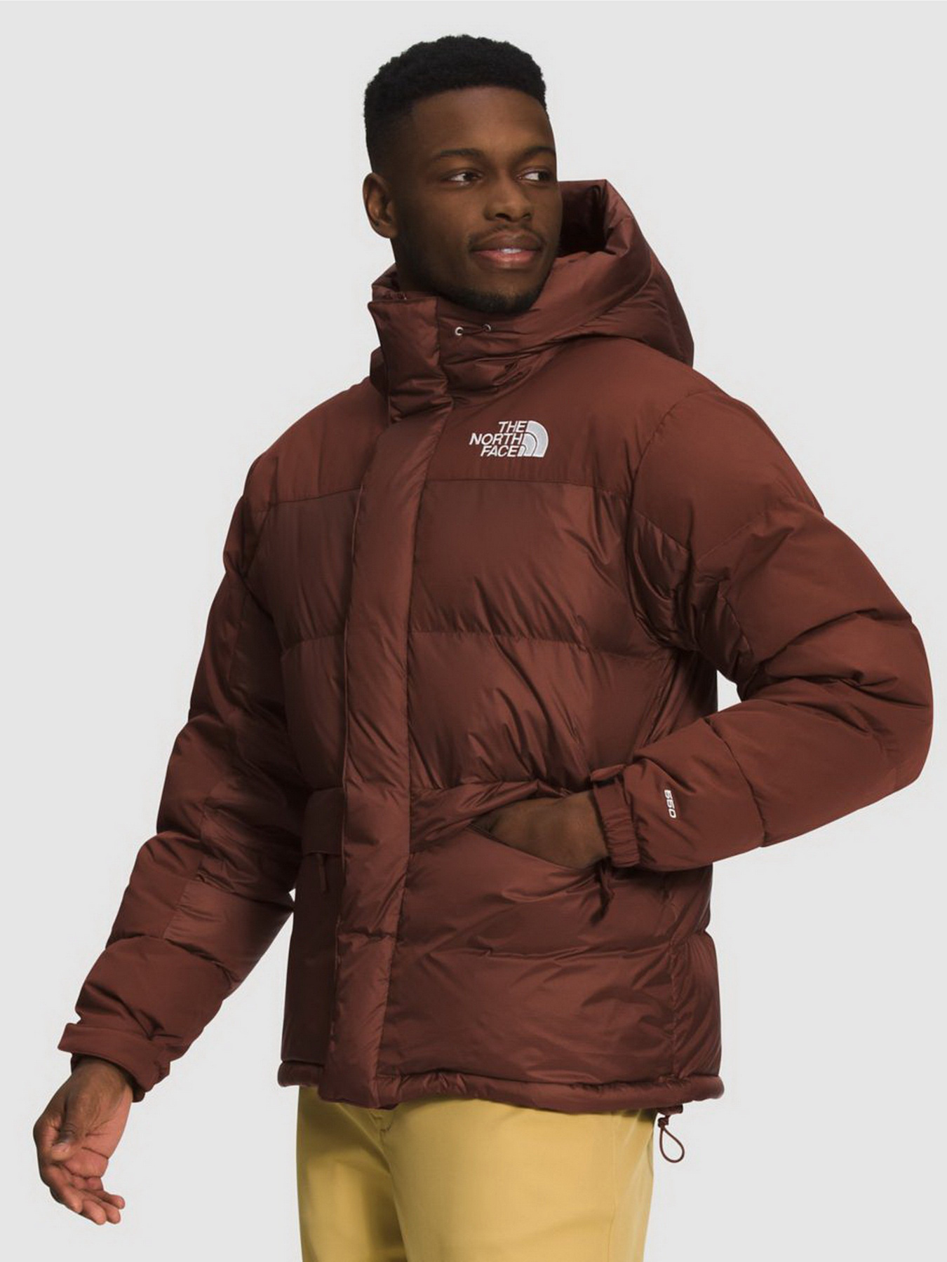 Куртки и дубленки The North Face Himalayan модель NF0A4QYX6S21 Фото