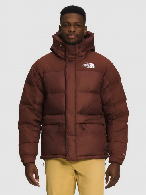 Куртки и дубленки The North Face Himalayan модель NF0A4QYX6S21 Фото