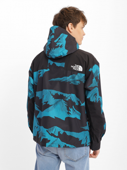 Куртки та дублянки The North Face 86 Retro модель NF0A7WVF98X1 Фото