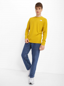 Худі та світшоти The North Face Easy Tee модель NF0A2TX176S1 Фото