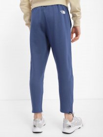 Штани The North Face Standard модель NF0A4M7LHDC1 Фото