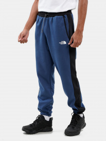 Штани The North Face Tech модель NF0A7UQ1HDC1 Фото