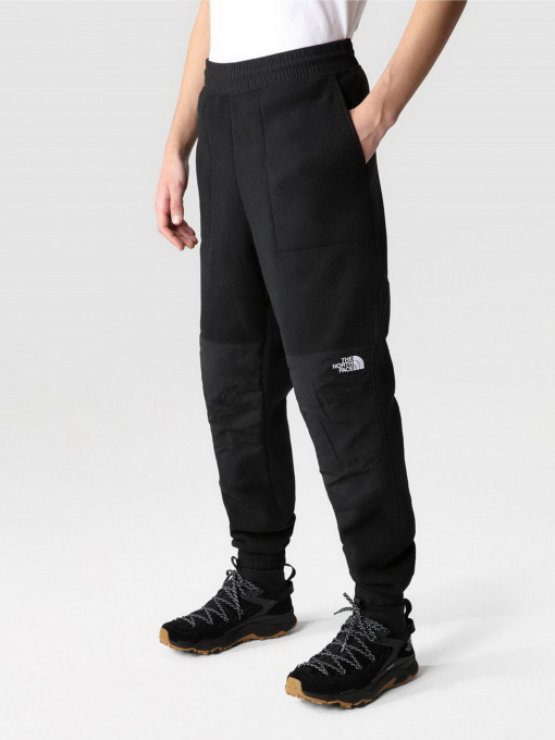 Брюки The North Face Denali модель NF0A7UR5JK31 Фото