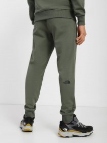 Штани The North Face Drew Peak модель NF0A7X1HNYC1 Фото