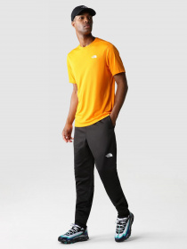 Брюки The North Face Reaxion Fleece модель NF0A7Z9PJK31 Фото