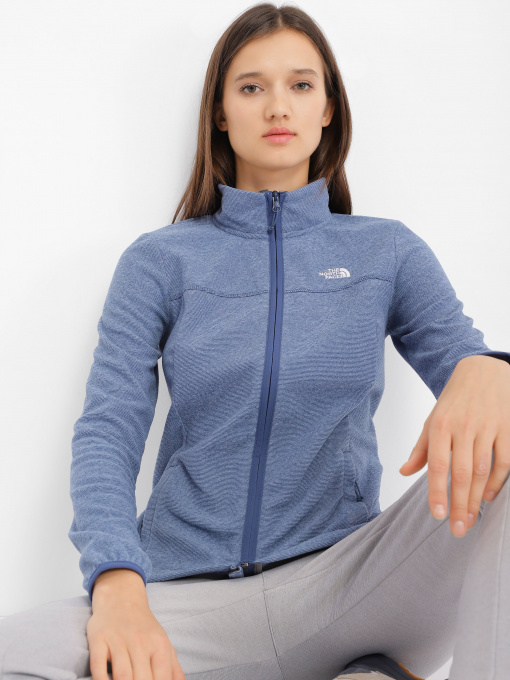 Худі та світшоти The North Face Homesafe Full Zip модель NF0A55HO8401 Фото