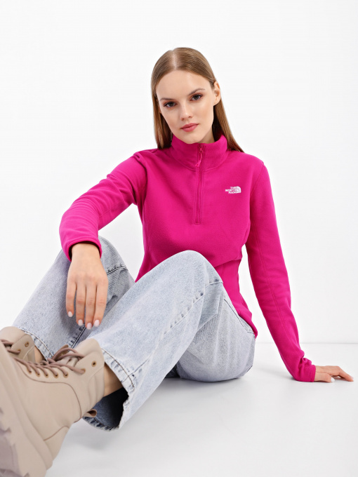 Худі та світшоти The North Face Resolve 1/4 Zip модель NF0A4SVX1461 Фото