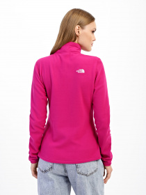 Худі та світшоти The North Face Resolve 1/4 Zip модель NF0A4SVX1461 Фото