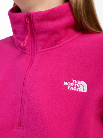 Худі та світшоти The North Face Resolve 1/4 Zip модель NF0A4SVX1461 Фото