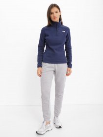 Худі та світшоти The North Face Resolve 1/4 Zip модель NF0A4SVX8K21 Фото