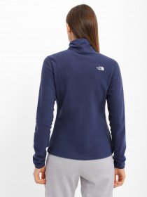 Худі та світшоти The North Face Resolve 1/4 Zip модель NF0A4SVX8K21 Фото