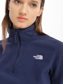Худі та світшоти The North Face Resolve 1/4 Zip модель NF0A4SVX8K21 Фото