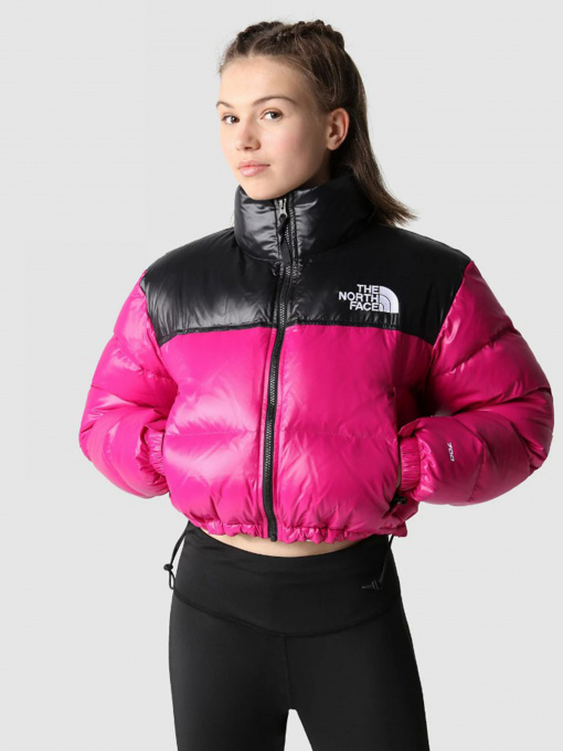 Куртки та дублянки The North Face Nuptse Short модель NF0A5GGE1461 Фото