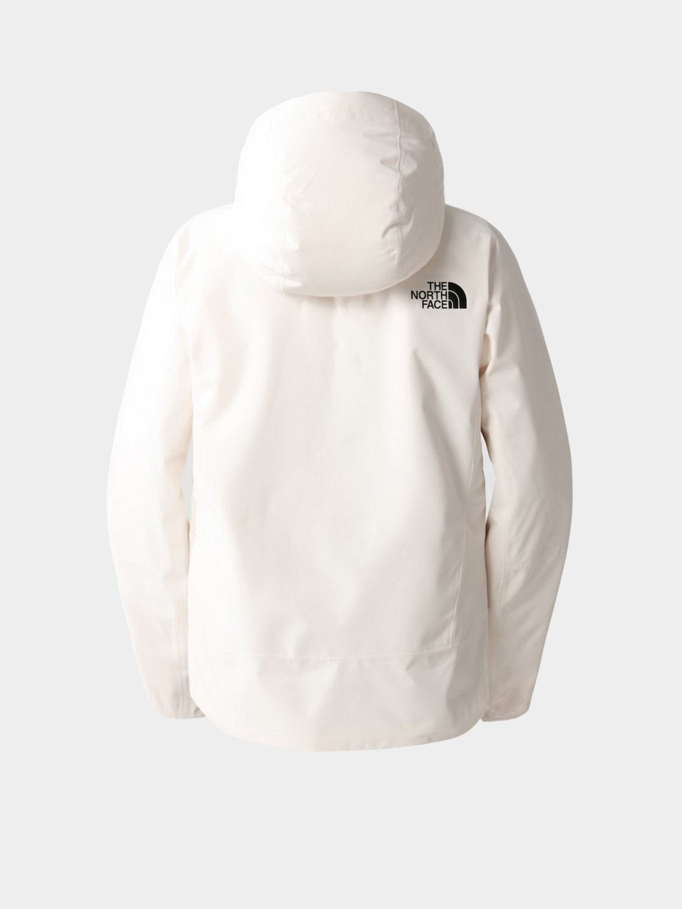 Куртки та дублянки The North Face Descendit модель NF0A4R1RN3N1 Куртки та дублянки The North Face Descendit модель NF0A4R1RN3N1 Фото