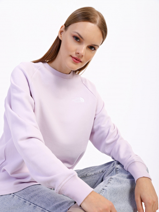 Худі та світшоти The North Face Oversize модель NF0A55GR6S11 Фото