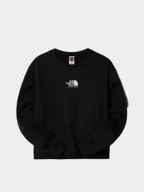 Худі та світшоти The North Face COORDINATES модель NF0A7X2FJK31 Фото