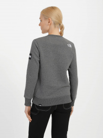 Худі та світшоти The North Face Seasonal Fine модель NF0A7X3DDYY1 Фото