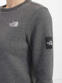 Худі та світшоти The North Face Seasonal Fine модель NF0A7X3DDYY1 Фото