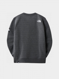 Худі та світшоти The North Face Seasonal Fine модель NF0A7X3DDYY1 Фото