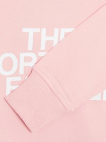 Худі та світшоти The North Face Standard модель NF0A4M7C6R01 Фото
