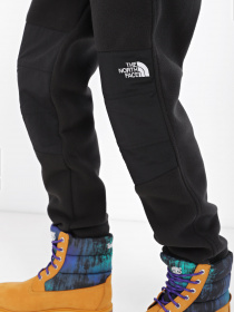 Штани The North Face Denali модель NF0A7WXXJK31 Фото