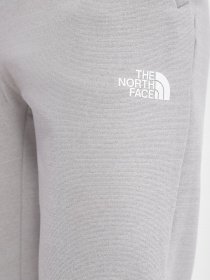 Штани The North Face Training Fleece модель NF0A7ZAVDYX1 Фото