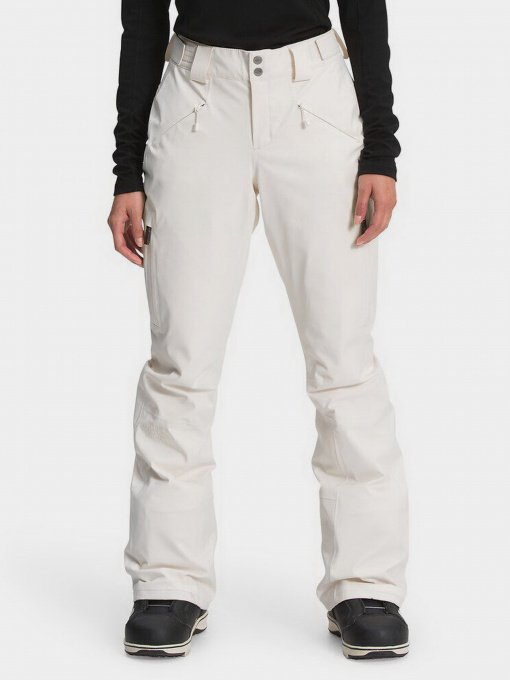 Брюки The North Face LENADO модель NF0A4R1IN3N1 Фото