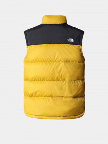 Куртки та дублянки The North Face Diablo Down Gilet модель NF0A4M9K81U1 Фото