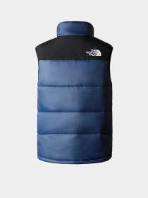 Куртки та дублянки The North Face Bombay Vest модель NF0A4QZ4HDC1 Фото