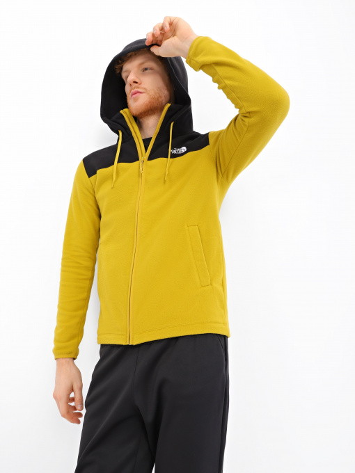 Худи и свитшоты The North Face Full Zip модель NF0A55HK81U1 Фото