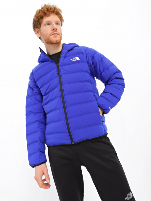 Куртки и дубленки The North Face Down Hooded модель NF0A7UQA40S1 Фото