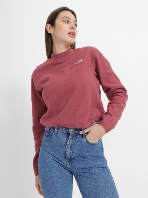 Худі та світшоти The North Face TKA Mock Neck модель NF0A7URD6R41 Фото