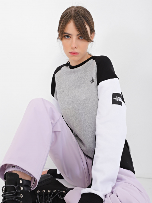 Худі та світшоти The North Face Seasonal модель NF0A7X39VNB1 Фото