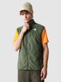 Свитры и кардиганы The North Face 100 Glacier модель NF0A7SSLNYC1 Фото