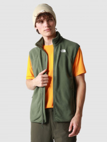 Свитры и кардиганы The North Face 100 Glacier модель NF0A7SSLNYC1 Фото
