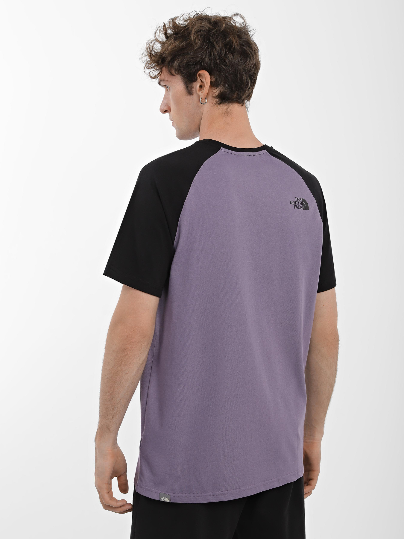 Футболки і поло The North Face Raglan Easy модель NF0A37FVN141 Фото