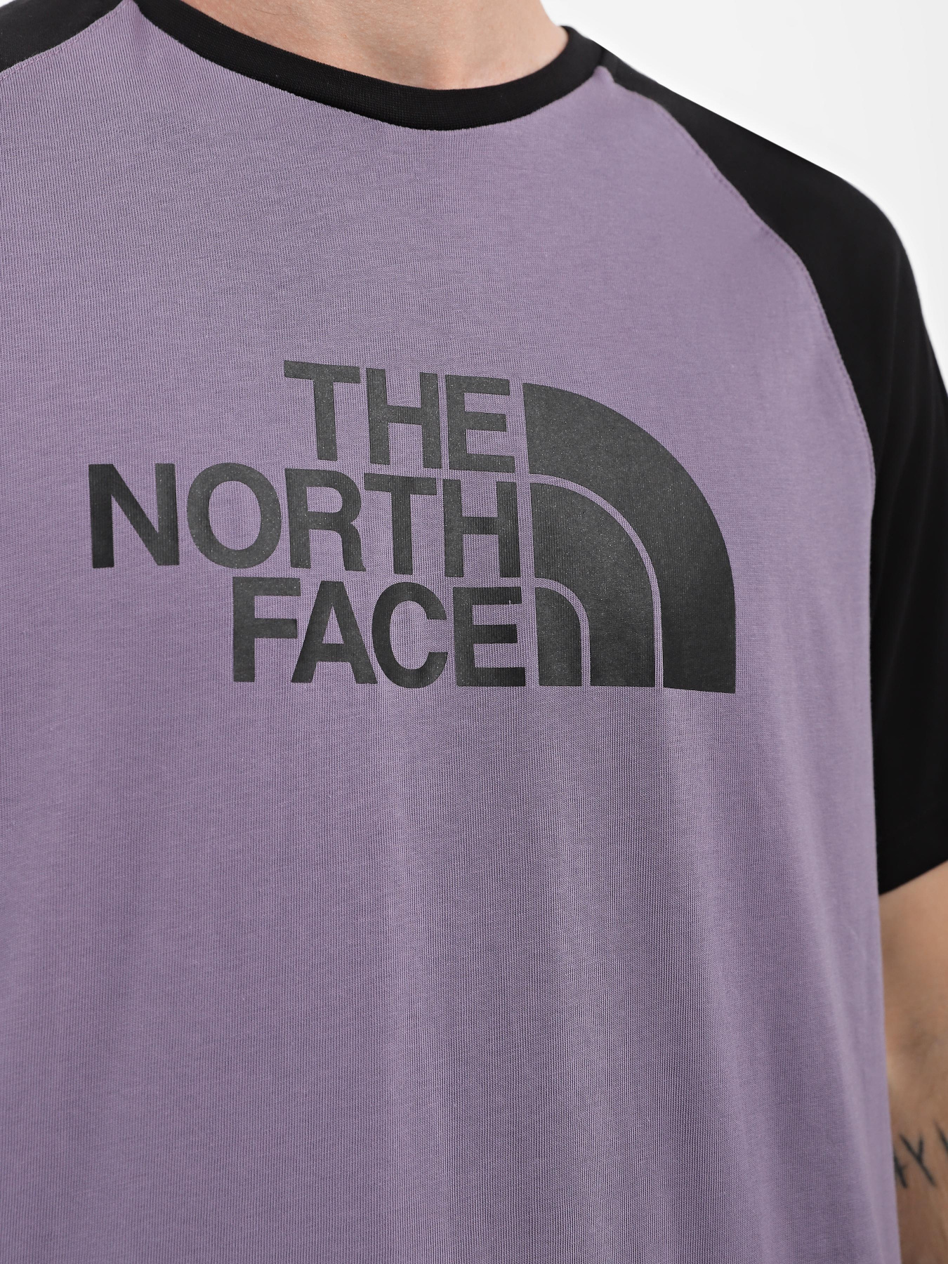 Футболки і поло The North Face Raglan Easy модель NF0A37FVN141 Фото