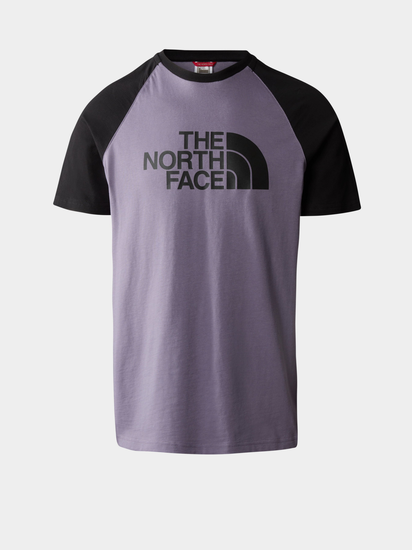 Футболки і поло The North Face Raglan Easy модель NF0A37FVN141 Фото