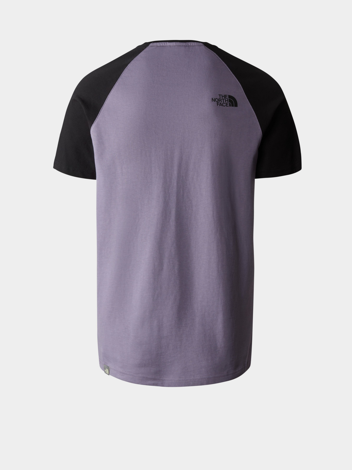 Футболки і поло The North Face Raglan Easy модель NF0A37FVN141 Фото