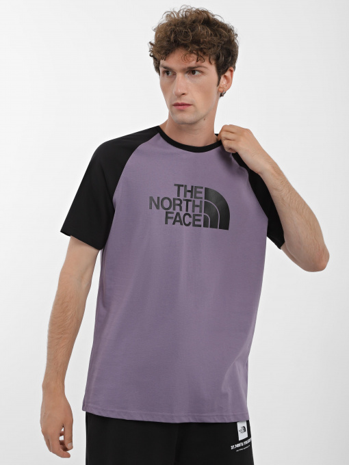 Футболки і поло The North Face Raglan Easy модель NF0A37FVN141 Фото