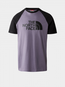Футболки і поло The North Face Raglan Easy модель NF0A37FVN141 Фото