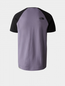 Футболки і поло The North Face Raglan Easy модель NF0A37FVN141 Фото
