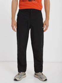 Брюки The North Face Tanken модель NF0A3RZYJK31 Фото