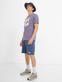 Шорти The North Face Standard модель NF0A3S4EHDC1 Фото