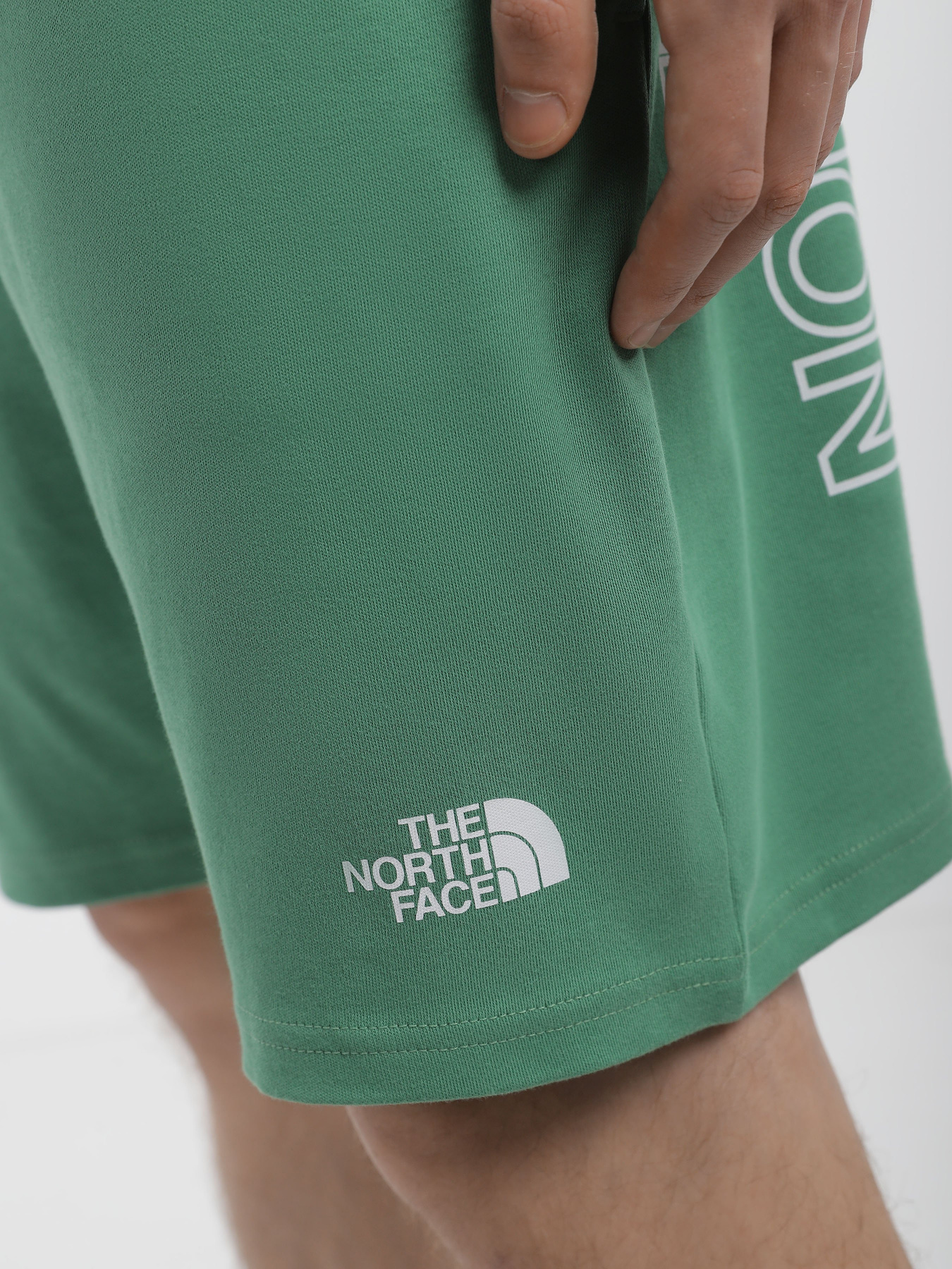 Шорты The North Face GRAPHIC модель NF0A3S4FN111 Шорты The North Face GRAPHIC модель NF0A3S4FN111 Фото